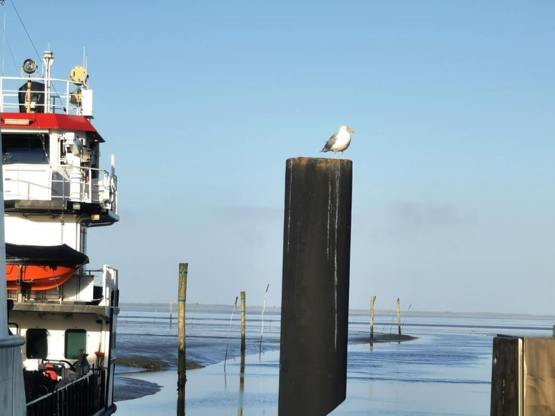 Schicke Ferienwohnung Julia An Der Nordsee Lutetsburg Bagian luar foto
